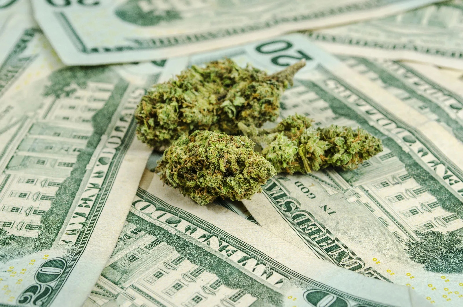 Affordable Bulk Cannabis Halifax: Quality and Convenience in Every Purchase