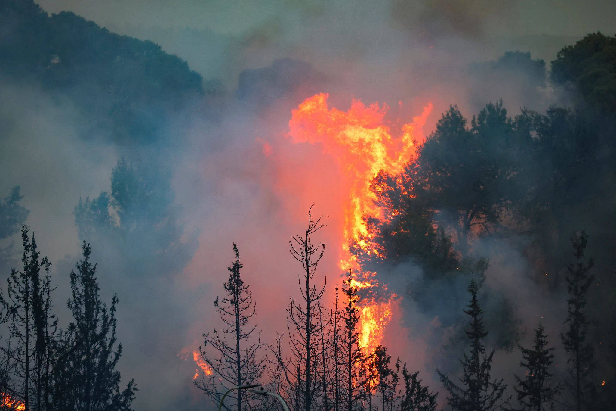 Wildfire events Outdoor Adventures for Children