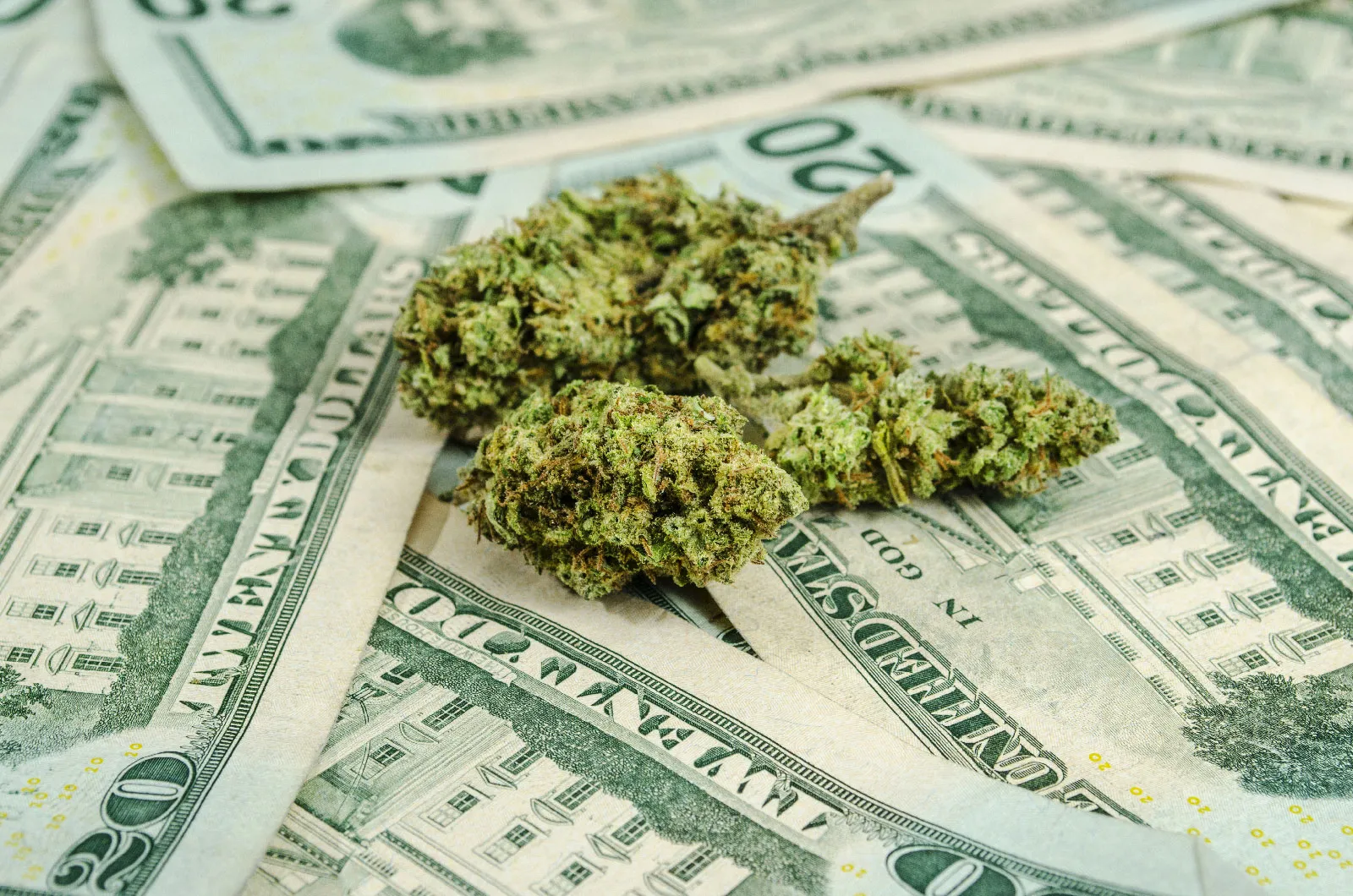 Affordable Bulk Cannabis Halifax: Quality and Convenience in Every Purchase